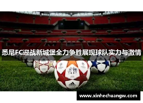 悉尼FC迎战新城堡全力争胜展现球队实力与激情